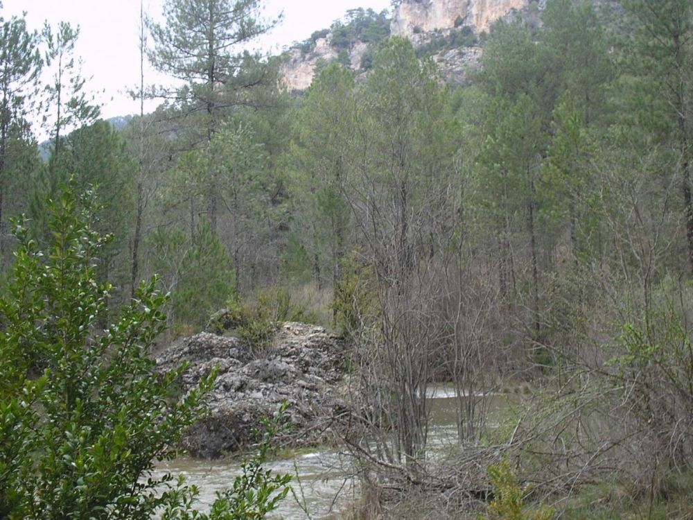 Foto de Las Majadas (Cuenca), España