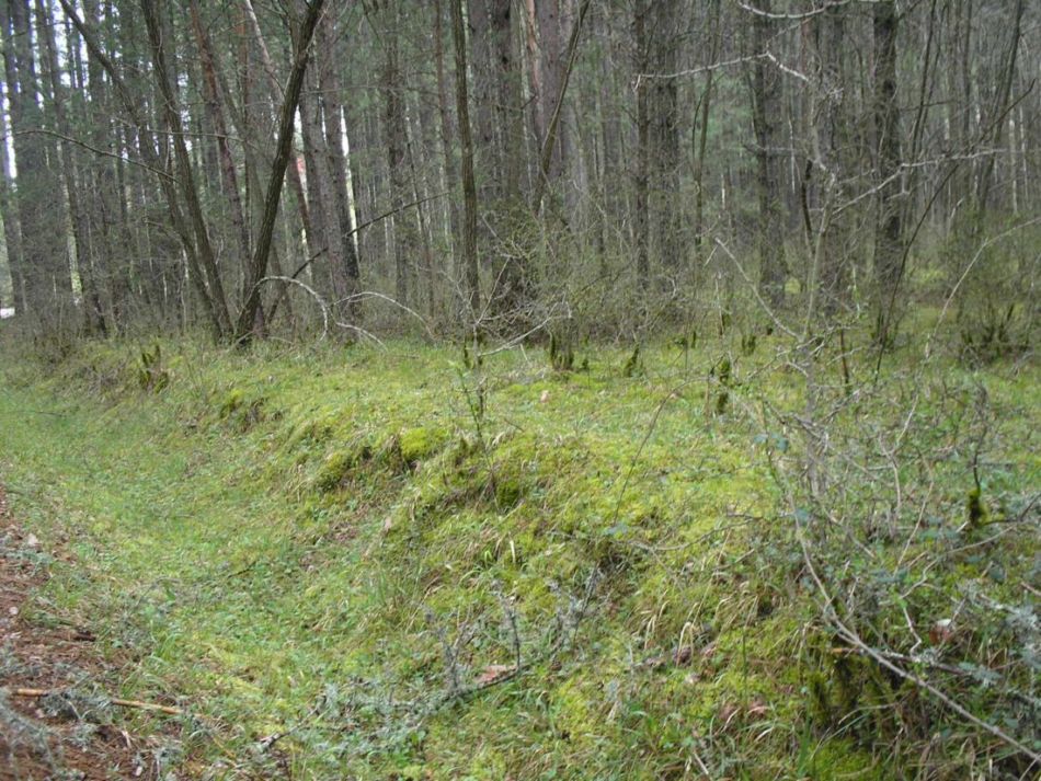 Foto de Las Majadas (Cuenca), España
