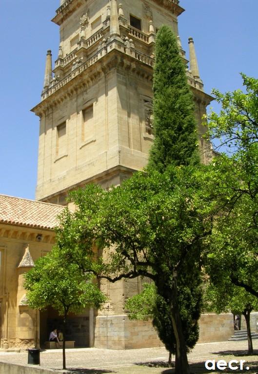 Foto de Córdoba (Andalucía), España