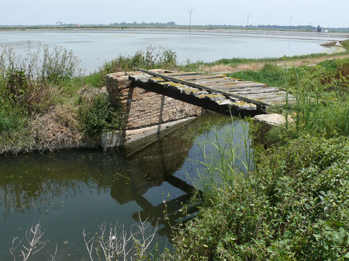 Foto de Alfafar (València), España