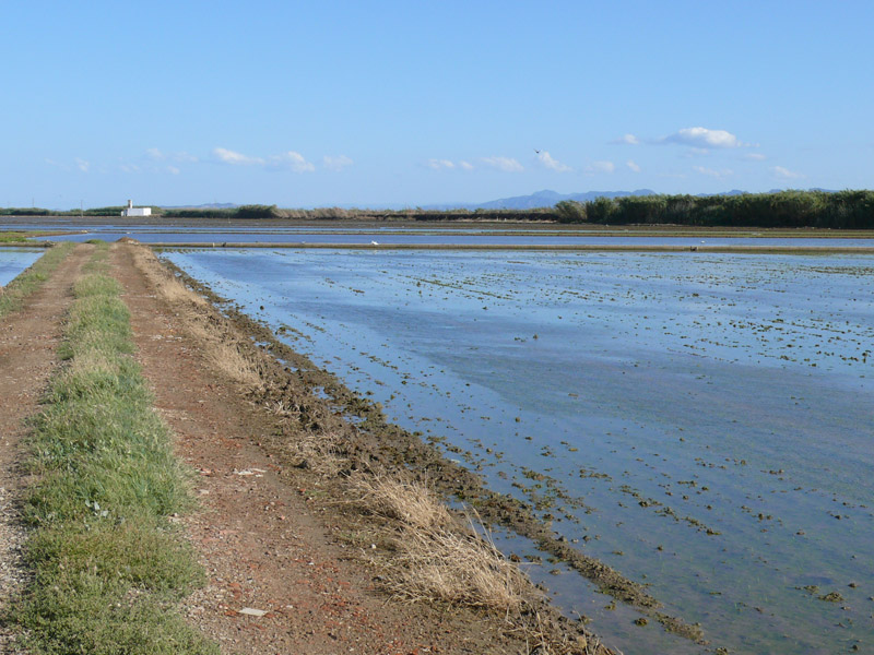 Foto de Massanassa (València), España