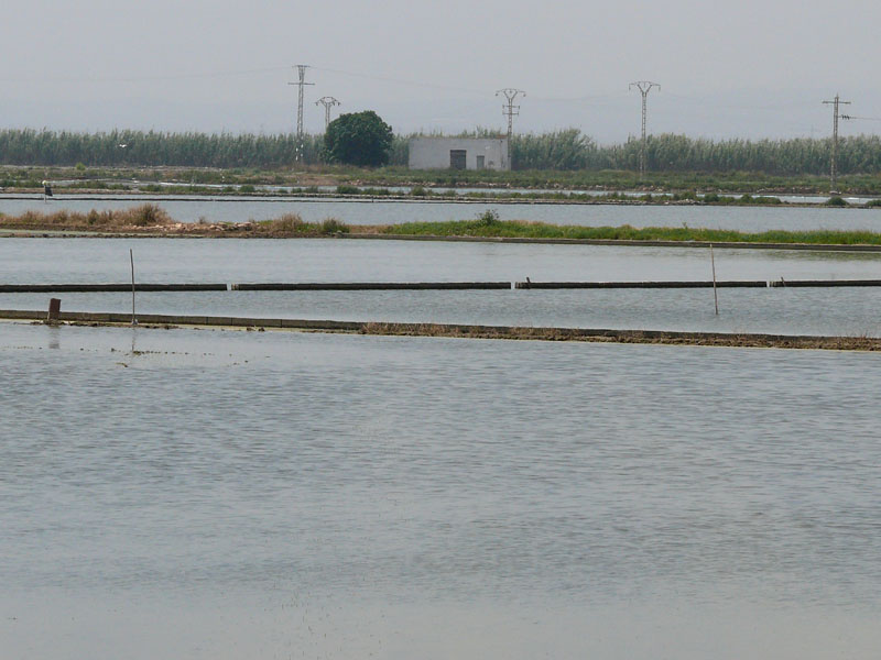 Foto de Massanassa (València), España