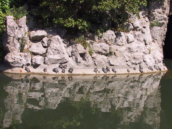 Foto de Sant Feliu de Llobregat (Barcelona), España