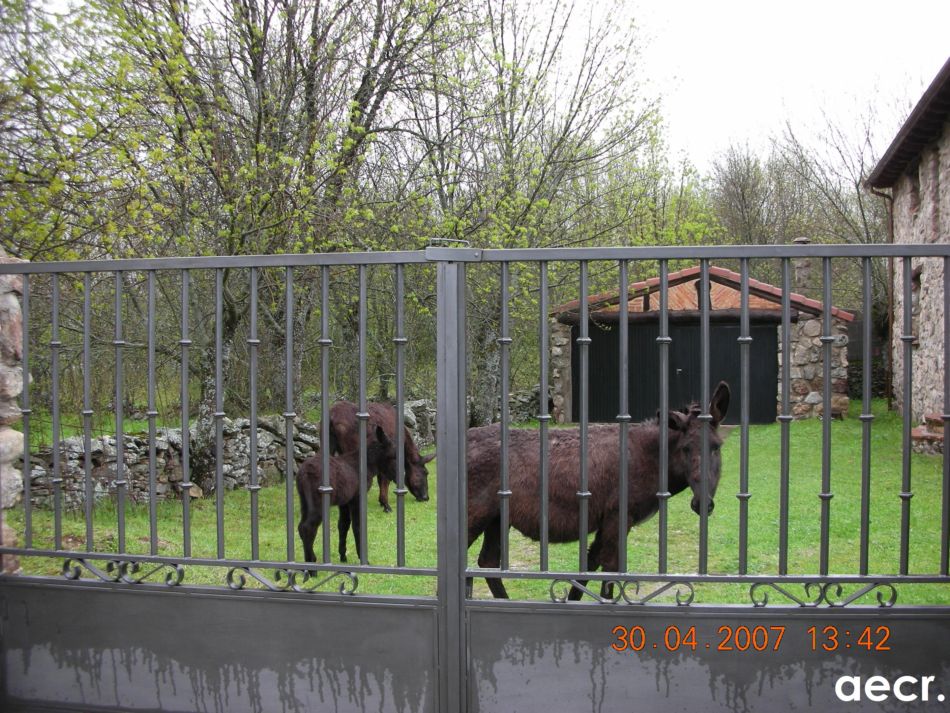 Foto de La Salceda (Segovia), España