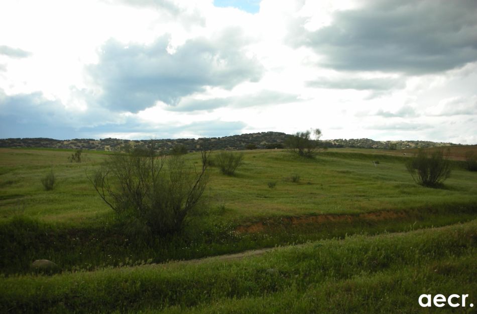 Foto de Quijorna (Madrid), España
