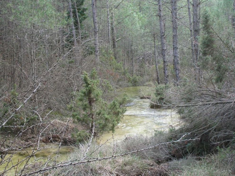Foto de Villalba de la Sierra (Cuenca), España