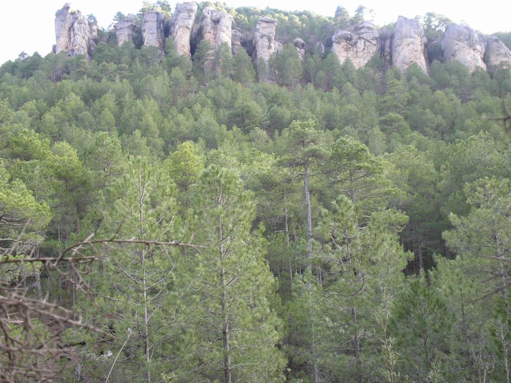 Foto de Villalba de la Sierra (Cuenca), España
