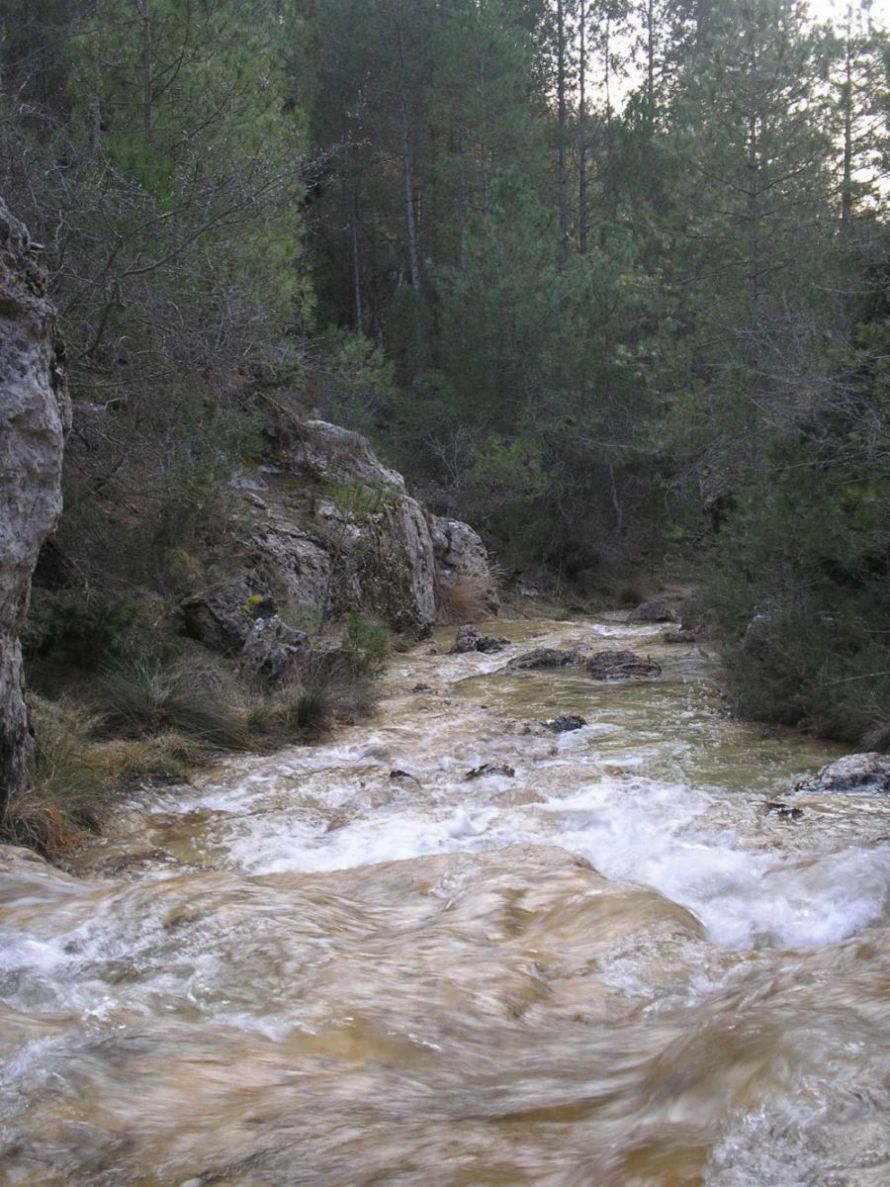 Foto de Villalba de la Sierra (Cuenca), España