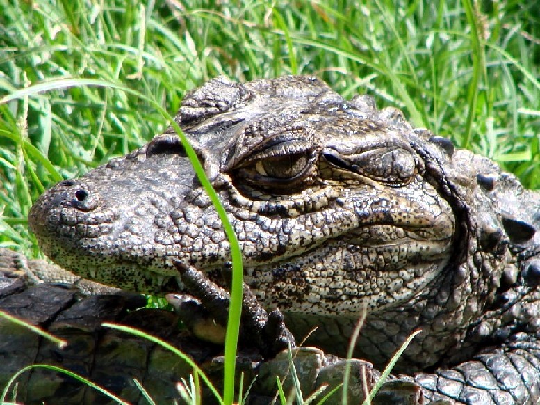 Foto de Maldonado, Uruguay