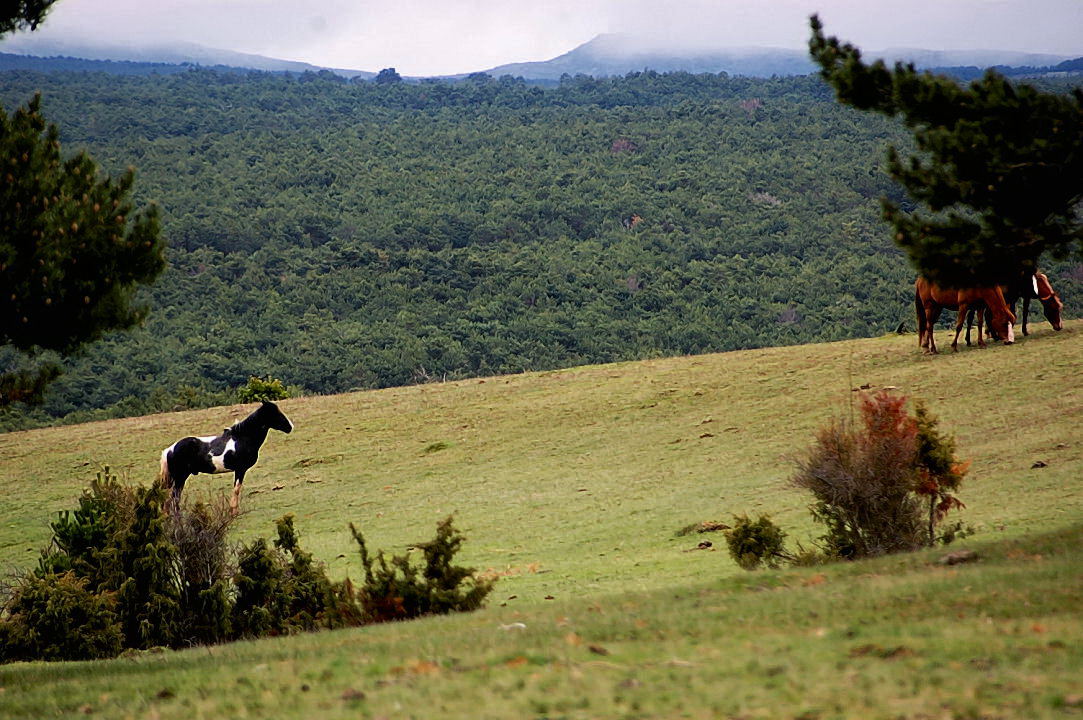 Foto de Cantalojas (Guadalajara), España