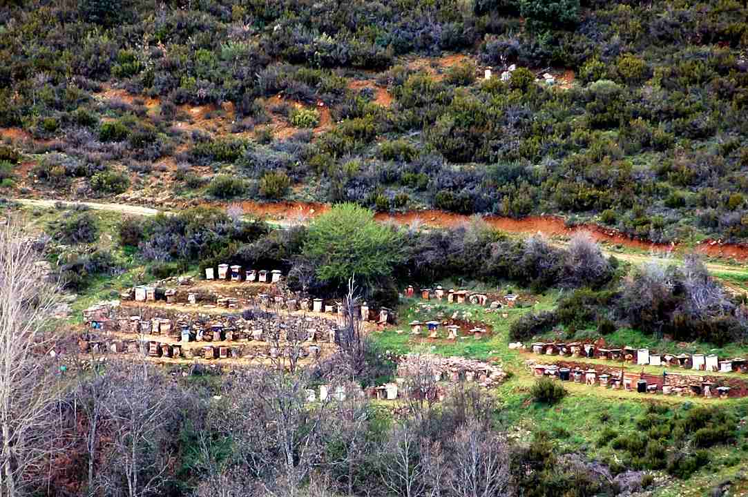 Foto de Valverde de los Arroyos (Guadalajara), España