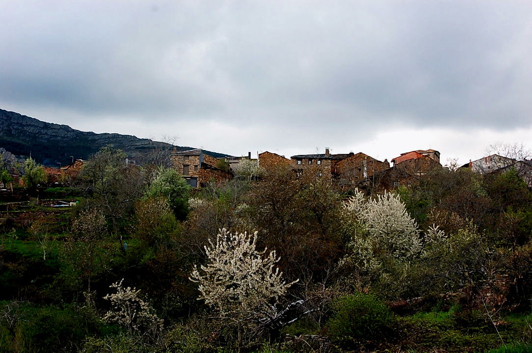 Foto de Valverde de los Arroyos (Guadalajara), España