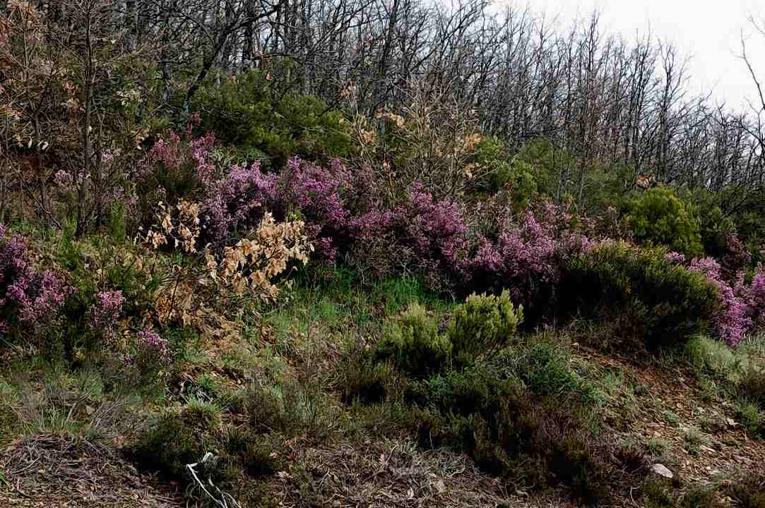 Foto de Villacadima (Segovia), España