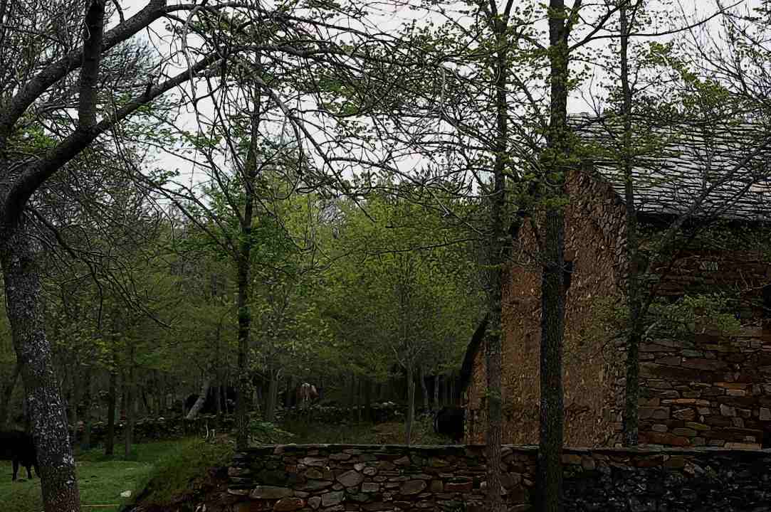 Foto de Umbralejo (Guadalajara), España