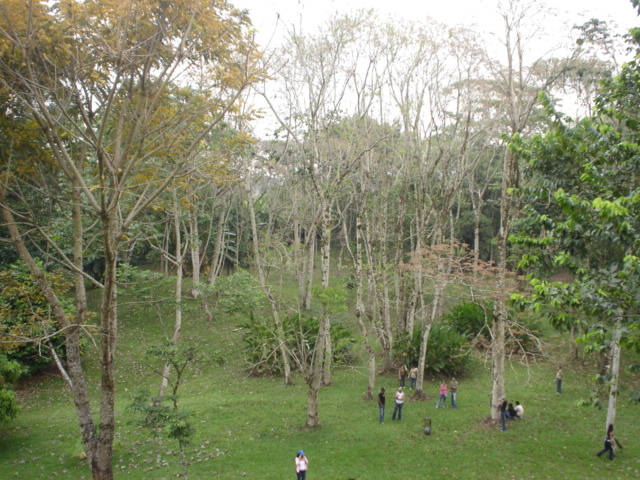Foto de Los Naranjos, Honduras