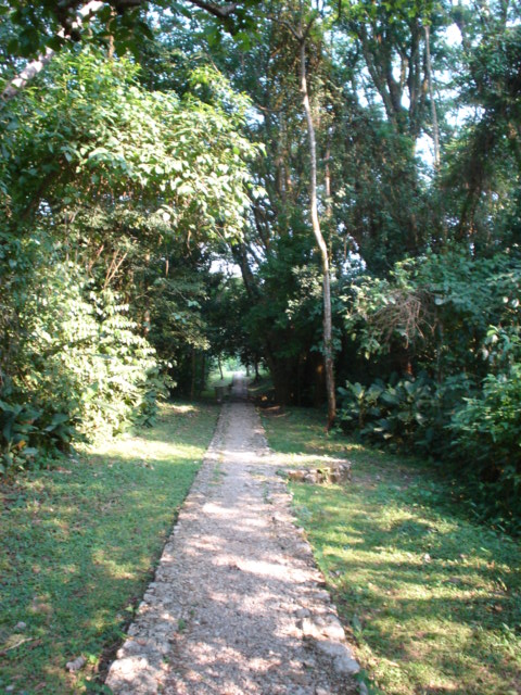 Foto de Los Naranjos, Honduras