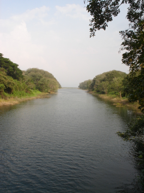 Foto de Los Naranjos, Honduras