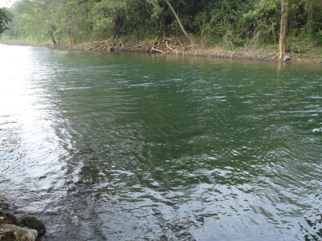 Foto de Los Naranjos, Honduras