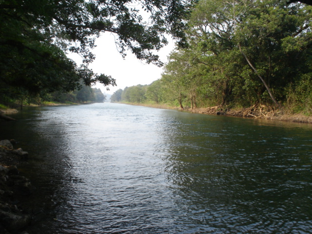 Foto de Los Naranjos, Honduras