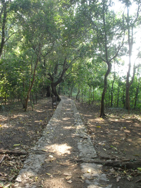 Foto de Los Naranjos, Honduras