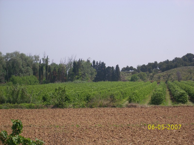 Foto de Peramán (Zaragoza), España