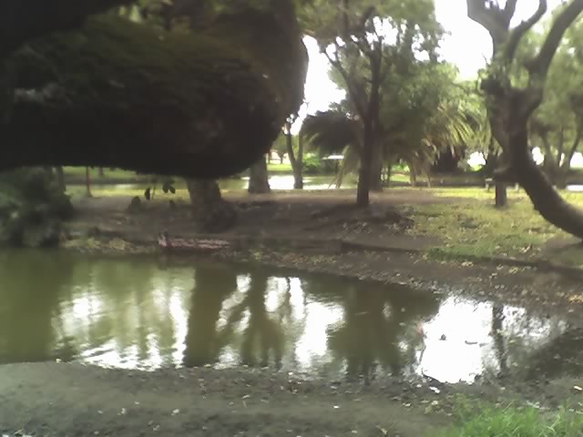 Foto de Pehuajó, Argentina