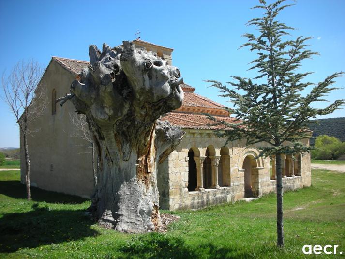 Foto de Requijada (Segovia), España