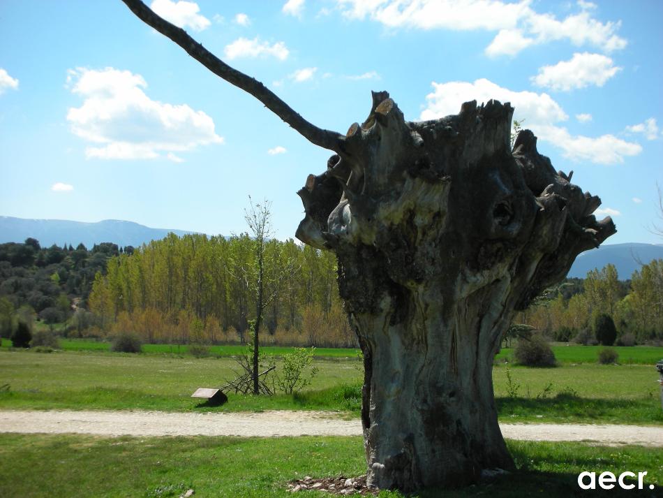 Foto de Requijada (Segovia), España
