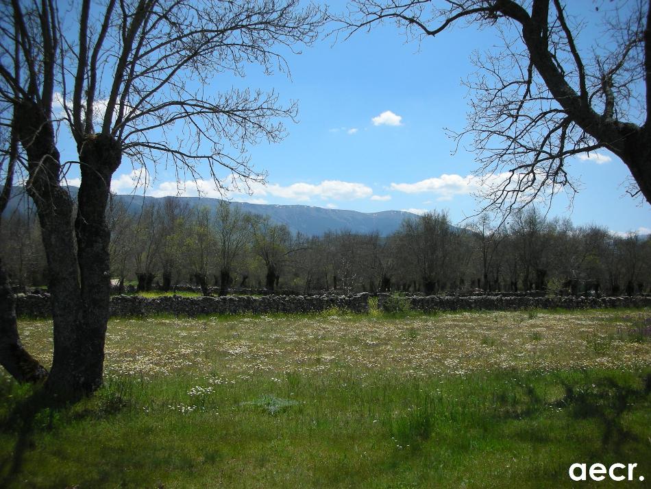 Foto de Cañicosa - Matabuena (Segovia), España