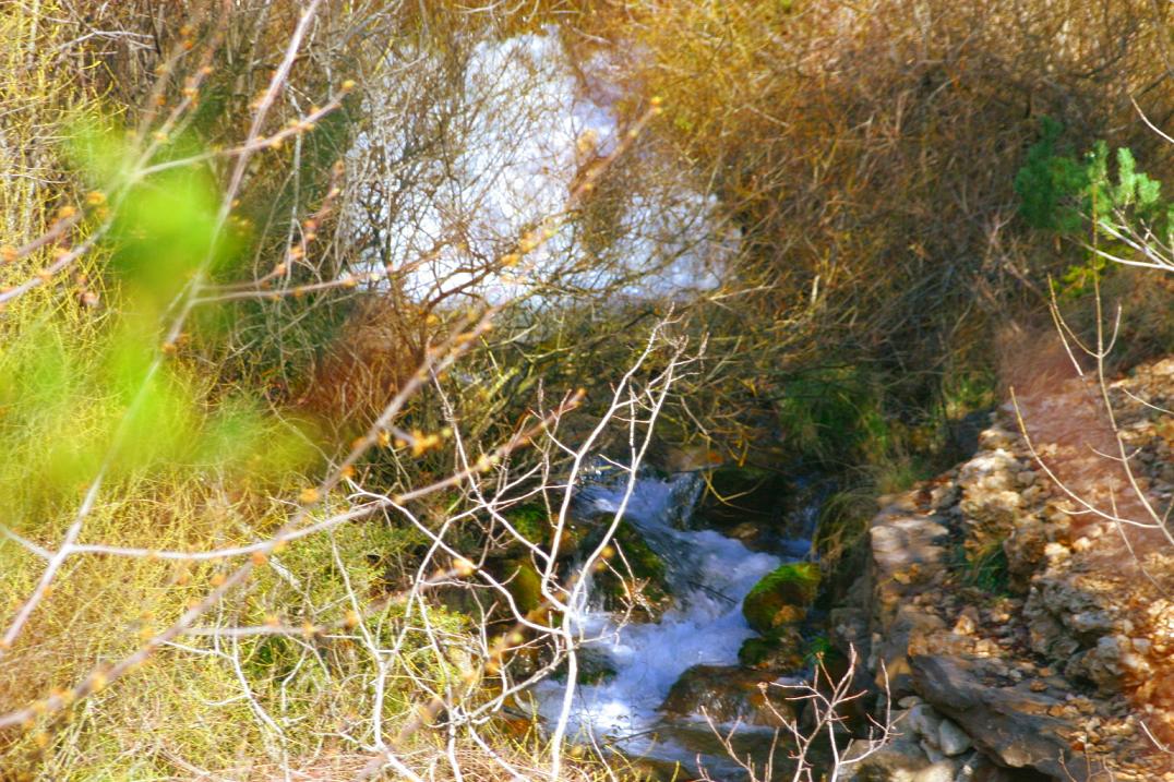 Foto de La Coma i la Pedra (Lleida), España