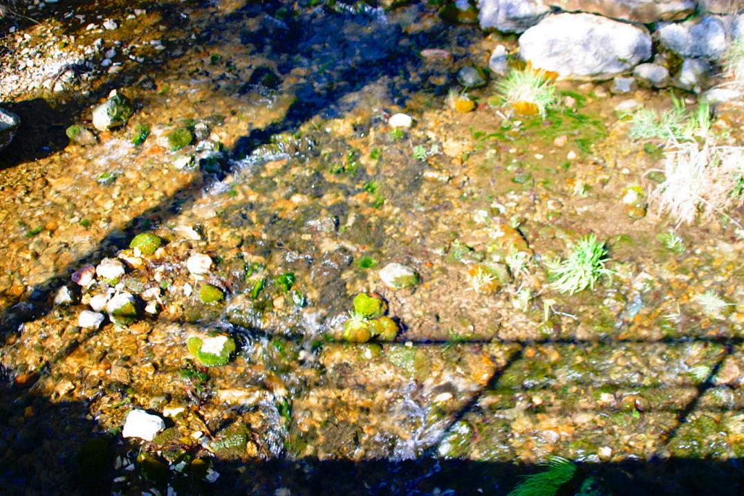 Foto de La Coma i la Pedra (Lleida), España