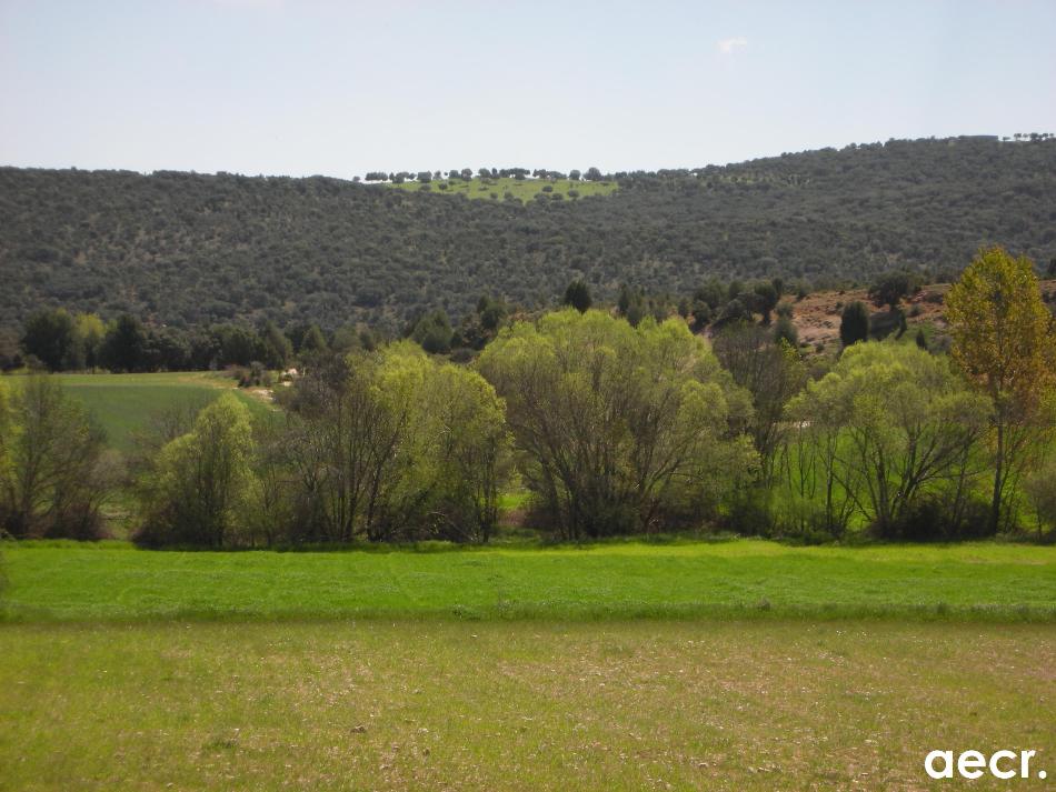 Foto de Requijada (Segovia), España