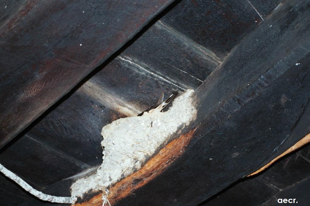 Foto de Quintanilla del Rebollar (Burgos), España