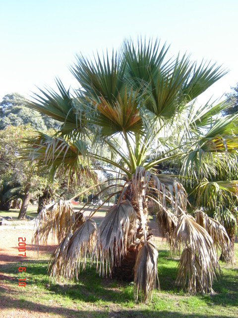 Foto de Ciudad de Buenos Aires, Argentina