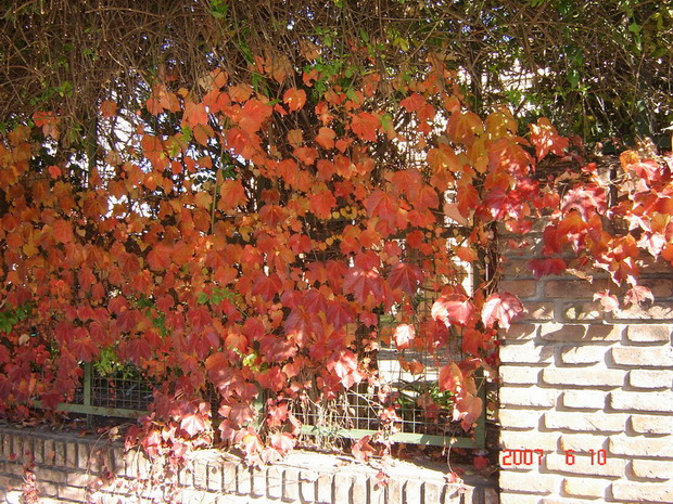 Foto de Ciudad de Buenos Aires, Argentina