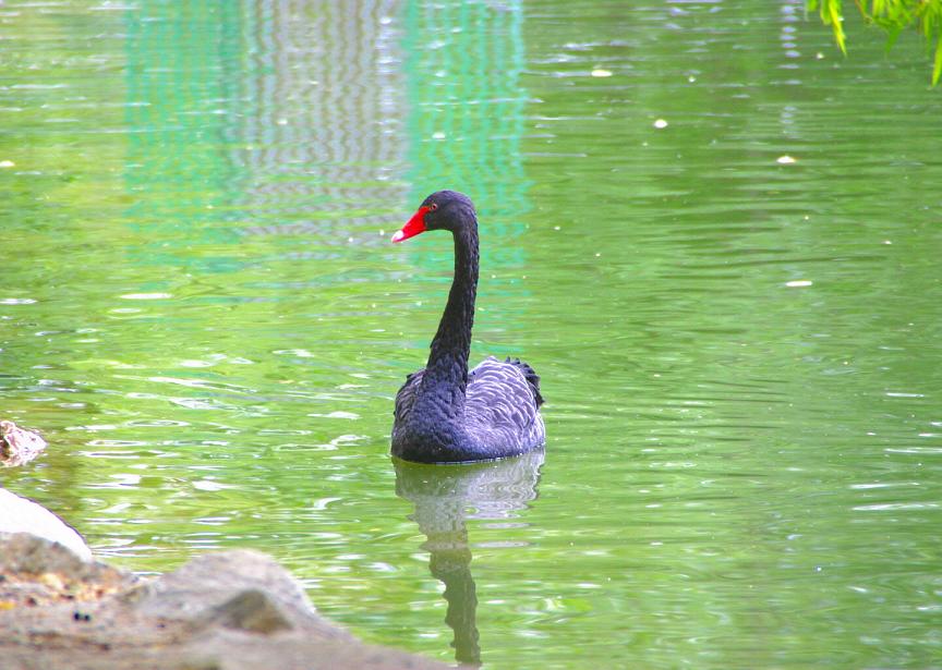 Foto de Puigcerdà (Girona), España