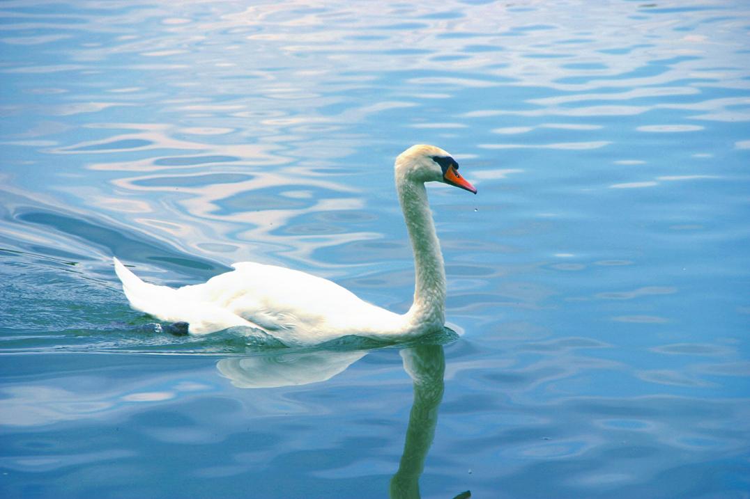 Foto de Puigcerdà (Girona), España