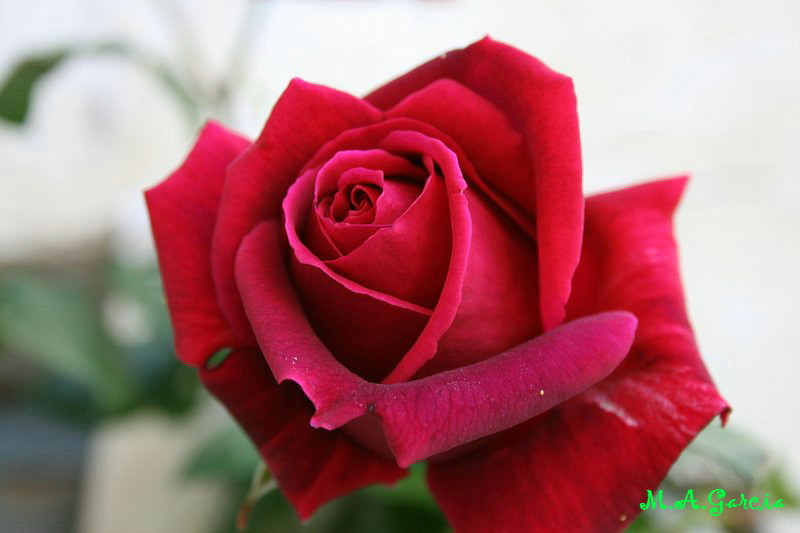 Foto de Ólvega (Soria), España