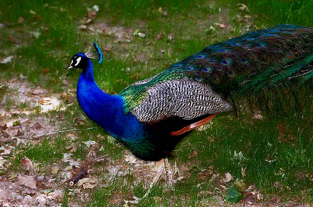 Foto de Aranjuez (Madrid), España
