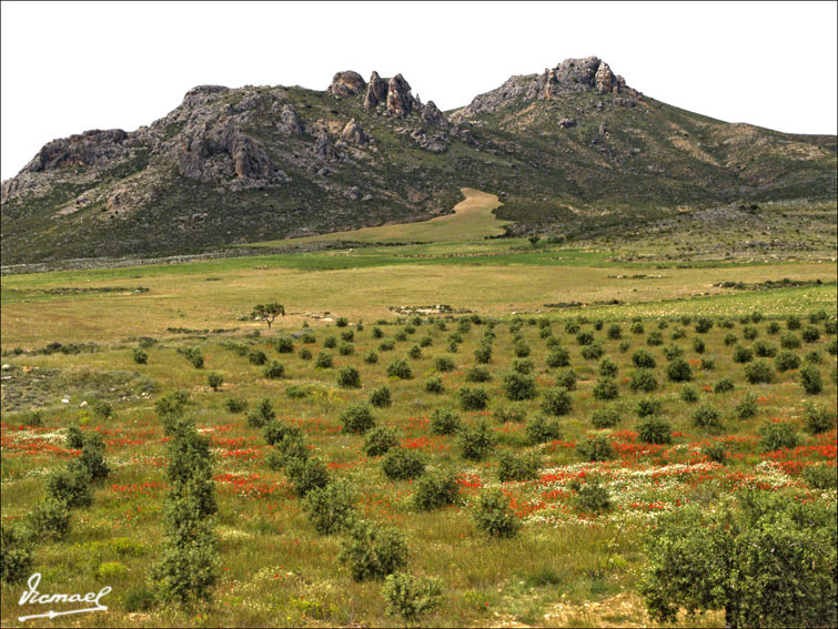 Foto de Mesones de Isuela (Zaragoza), España