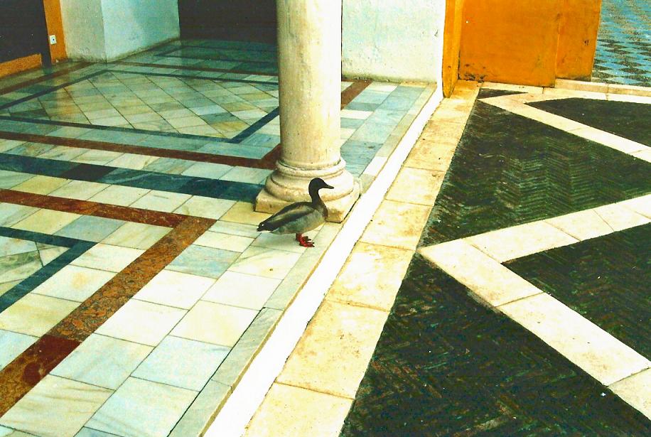 Foto de Sevilla (Andalucía), España