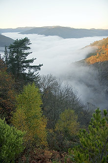 Foto de Pesoz (Asturias), España