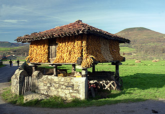 Foto de Teleña (Asturias), España