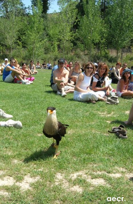 Foto de Nuévalos (Zaragoza), España