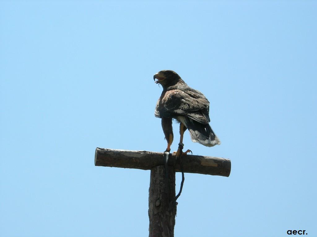 Foto de Nuévalos (Zaragoza), España