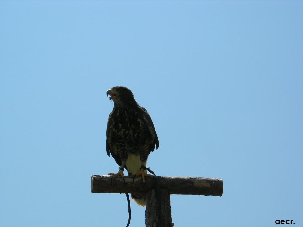 Foto de Nuévalos (Zaragoza), España