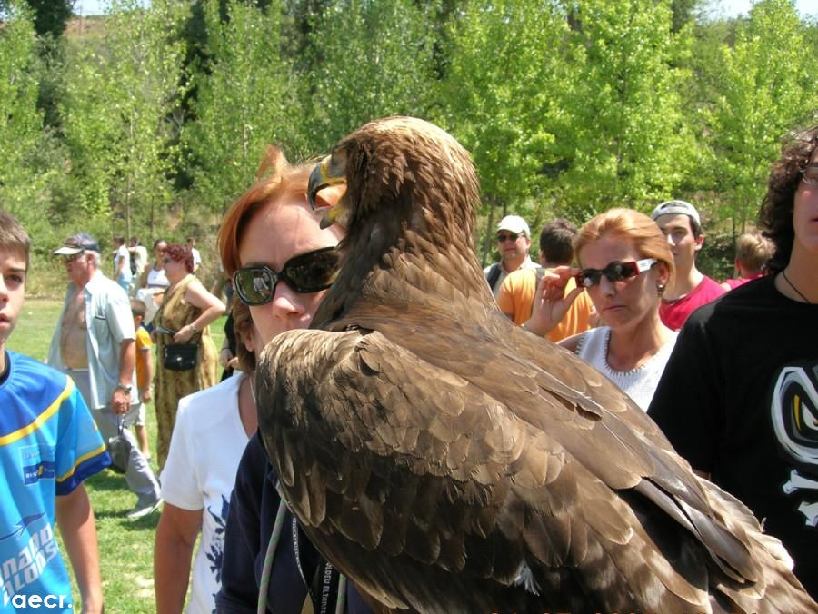 Foto de Nuévalos (Zaragoza), España