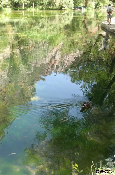 Foto de Nuévalos (Zaragoza), España