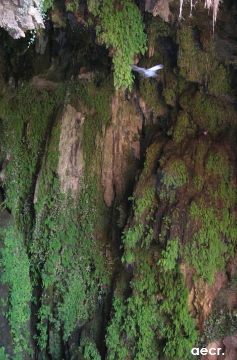 Foto de Nuévalos (Zaragoza), España