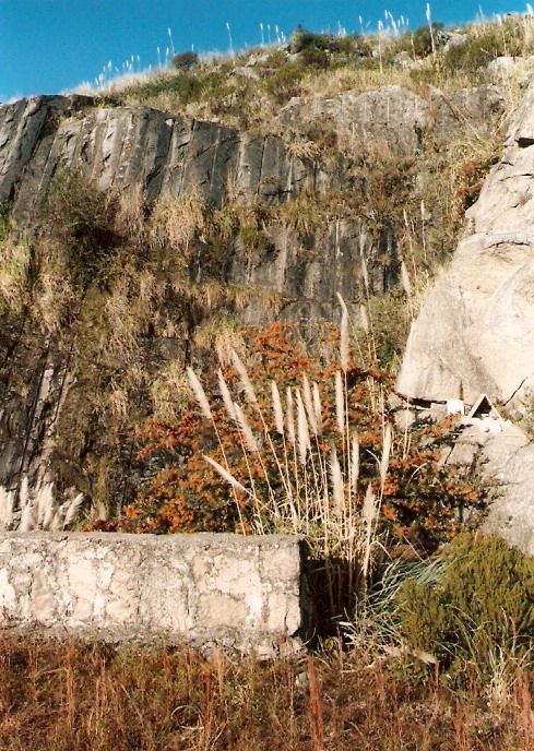 Foto de Tras las Sierras (Córdoba), Argentina